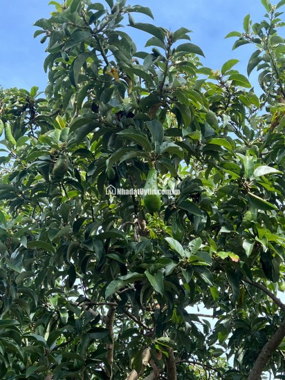 Chuyển hướng công việc nên mình để lại lô đất 1300m² tại Gia Kiệm – Thống Nhất, Đồng Nai.